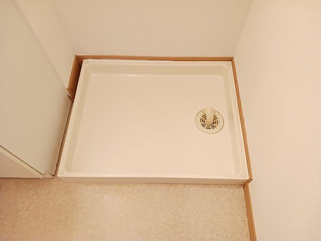 プラシードのその他