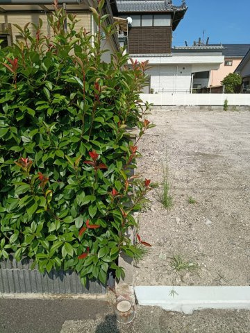 西条市三津屋182-2　売土地の外観