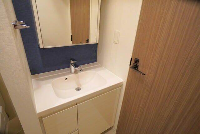 パークアクシス錦糸町ＷＥＳＴの洗面所