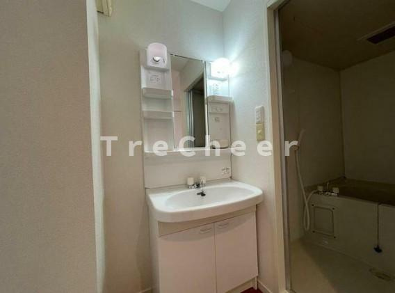 ディアコートアイの洗面所