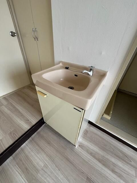 カーサ野崎の洗面所