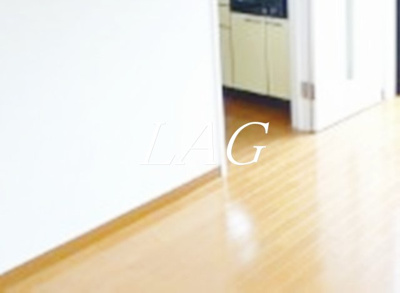 【居間・リビング】 | グレイス南浦和 | 洋室のお部屋です。