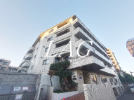 山王ハマセイホウの画像