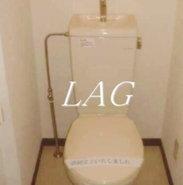 【トイレ】 | カレラⅠ | トイレです。