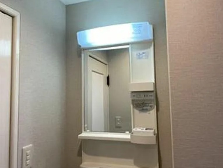 パペーテ桜橋のその他