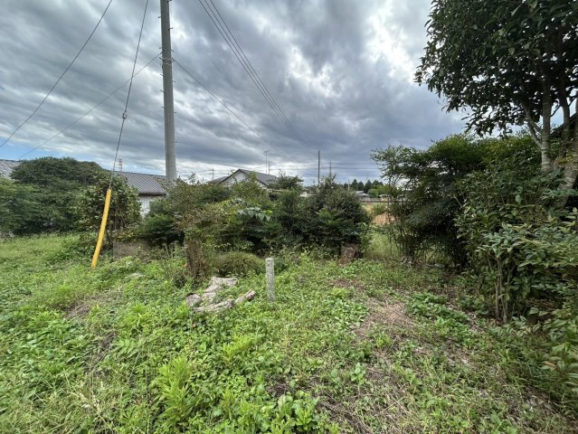 古屋付き広大な土地♪資材置き場などにいかがですかの庭