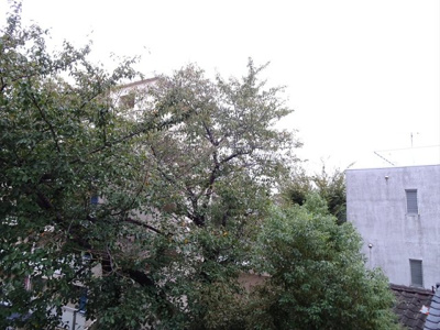 【展望】 | 渡部ハイツ