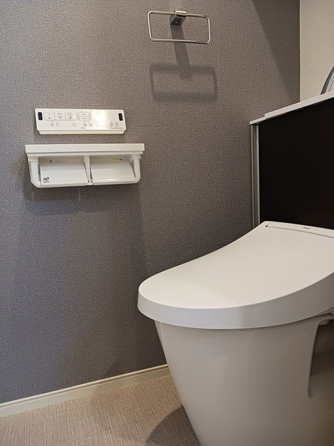 ソラリスＮのトイレ|トイレ