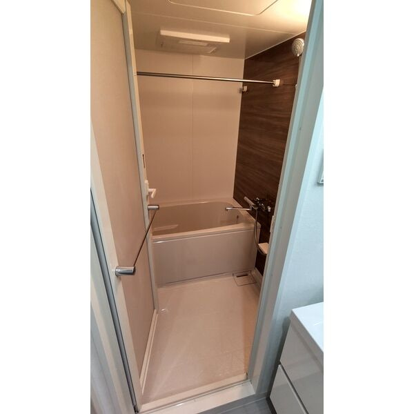 LAPIS　TWOLES(ラピス　トゥレス)　名古屋市賃貸　仲介手数料無料の浴室