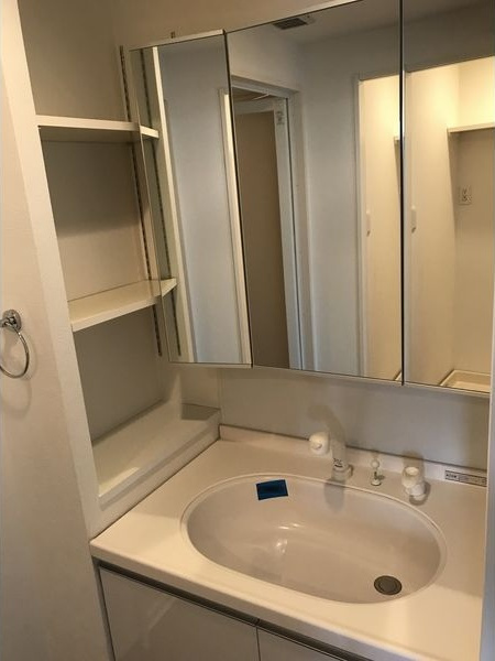 グランデージ泉の洗面所