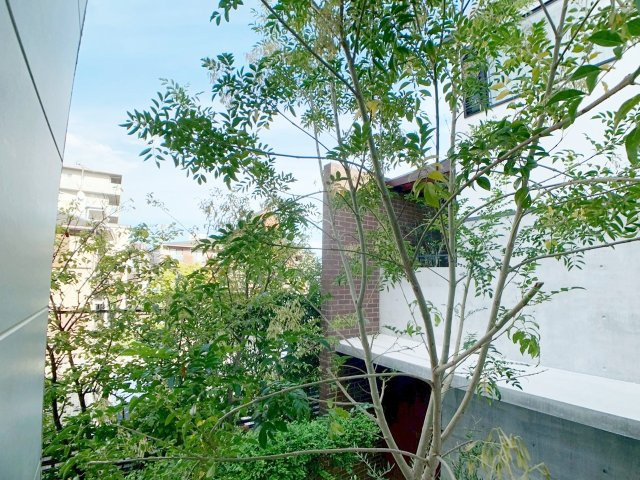 菊谷町 中古戸建の庭