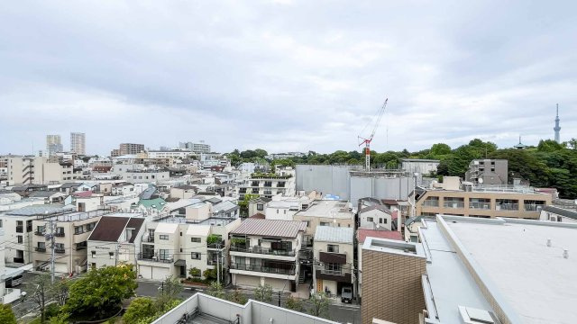ザ・ライオンズ上野の森の展望