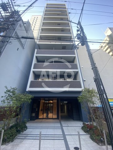 GRACE NORTH NISHITENMA