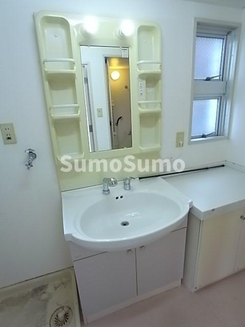 プレシードB棟の洗面所