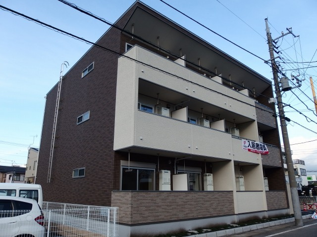 ブック　フィールドⅡ