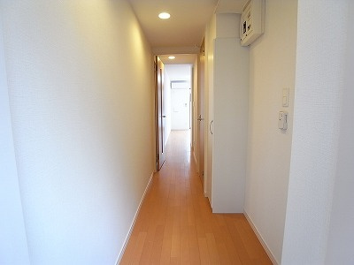 リブリ・クレストのその他