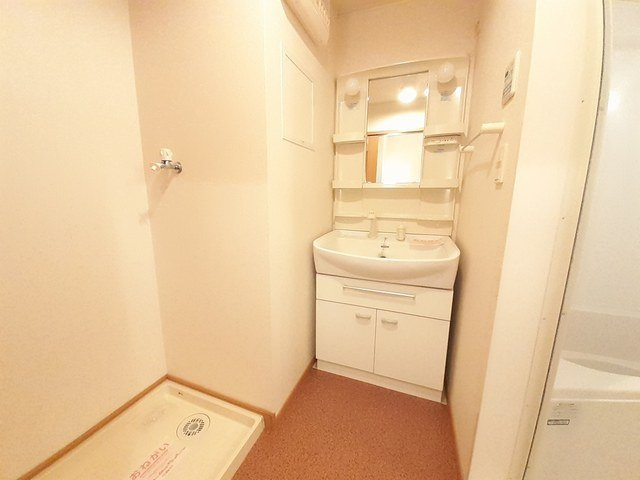 シャン・イリーデＢの洗面所