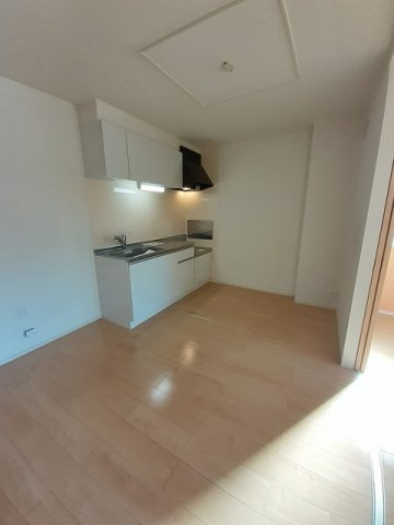 コスモスのその他