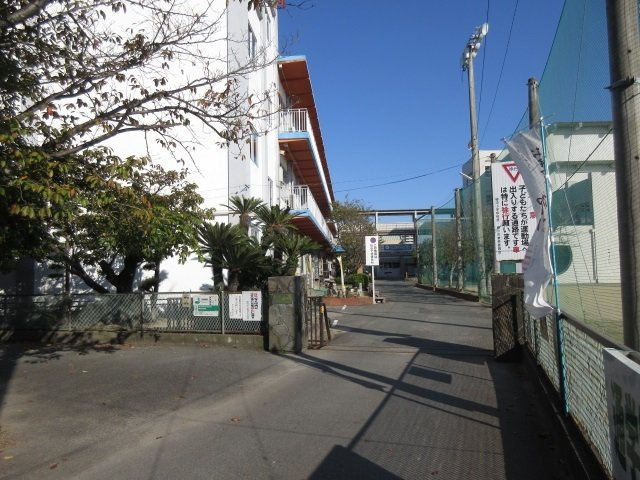 フォルツァ弐番館の周辺|柳河小学校まで390m