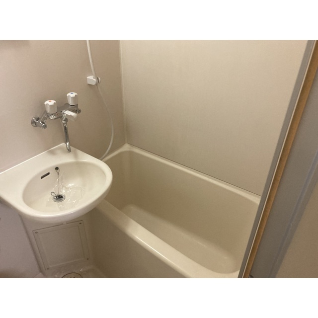 アマリリスのシャワールーム