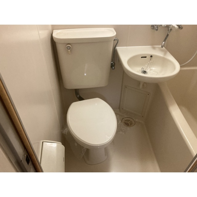 アマリリスのトイレ