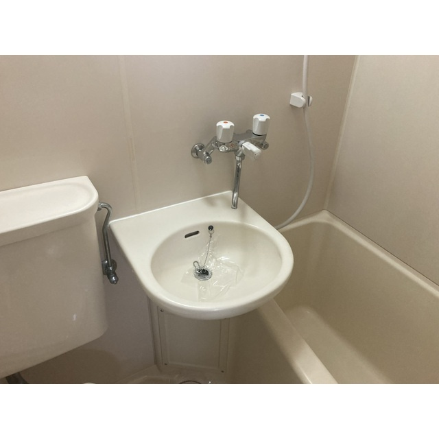 アマリリスの洗面所