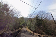 丹波篠山市今田町木津　山林1の画像
