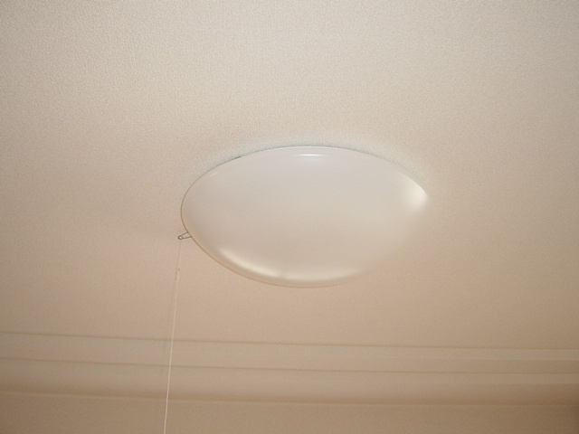 グランアモール青山のその他|照明（イメージ）