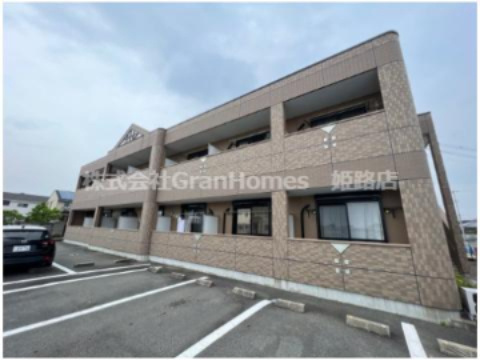 ダンデライオン