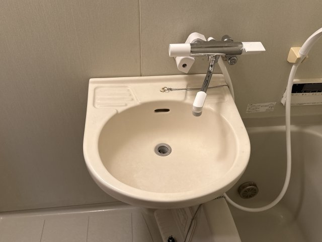 エクセルコートの洗面所
