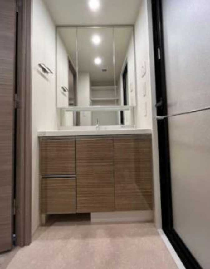 ステラメゾン三軒茶屋　駅近　高層階　ファミリータイプの洗面所