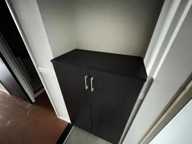 アリウスの収納|下駄箱