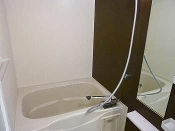 ポーシェガーデン５の浴室