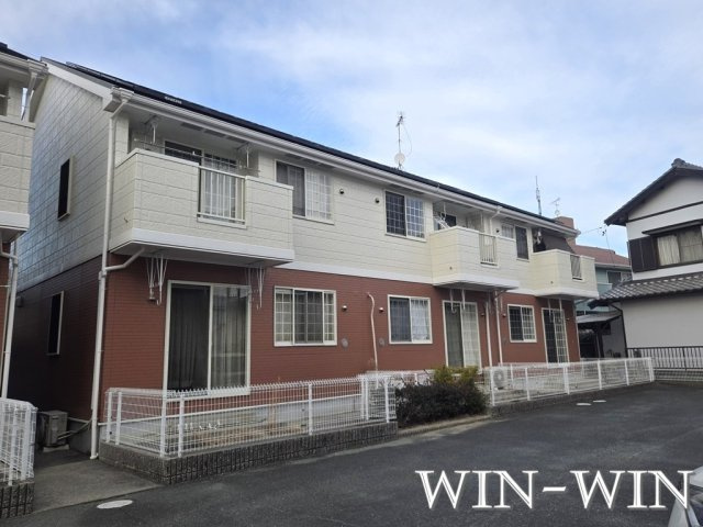 ドルフ・サンフラワー Ⅱ