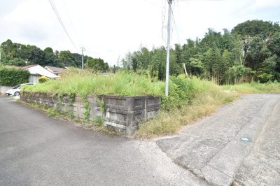 【外観】 | 曽於郡大崎町益丸　売地（全2筆）