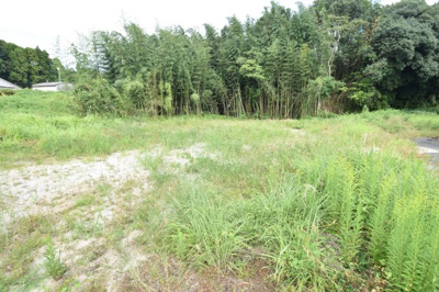 【外観】 | 曽於郡大崎町益丸　売地（全2筆）