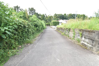 【前面道路含む現地写真】 | 曽於郡大崎町益丸　売地（全2筆）