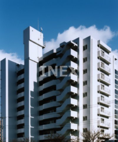 横浜市南区日枝町５丁目の賃貸マンションの外観