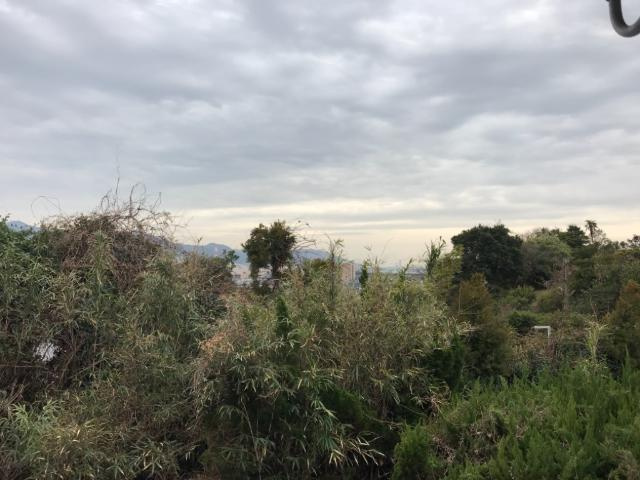 プライムガーデンⅡのその他|眺望（イメージ）