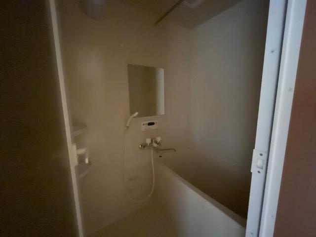 シュテルンハイム　Ｈｉｒｏの浴室|バス