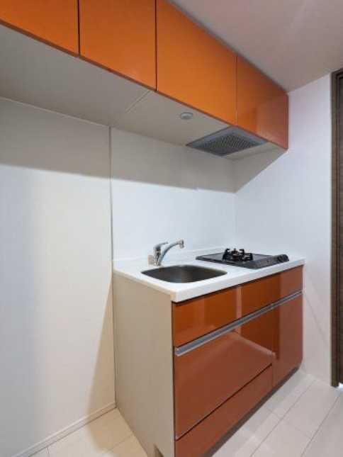 プレミアムキューブ三宿　ペット相談　分譲賃貸　ネット0のキッチン