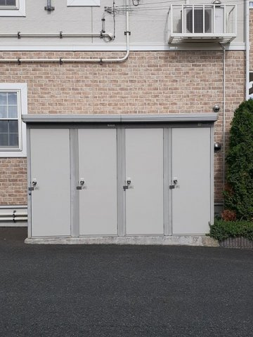 チェリーブラッサムのその他