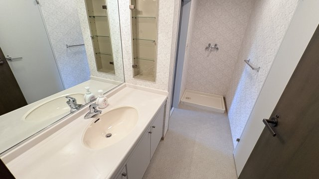 浅間ハイランドパーク プルミエールB1棟2階 2LDKの洗面所