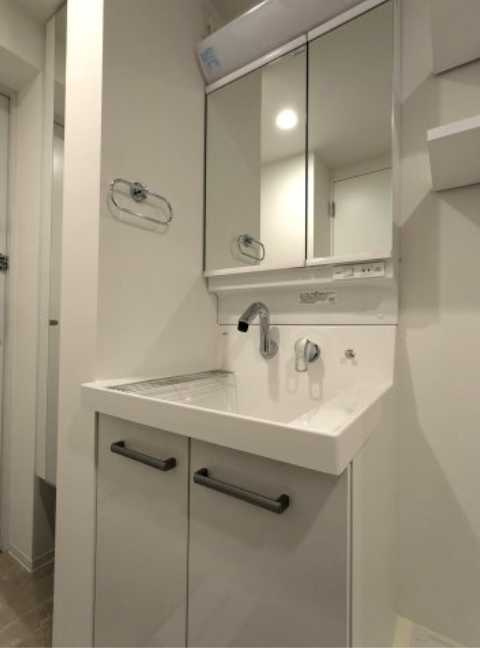 エルファーロ三軒茶屋Ⅱ　築浅　ペット相談　駅近の洗面所