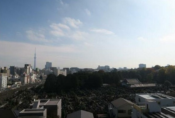 【展望】