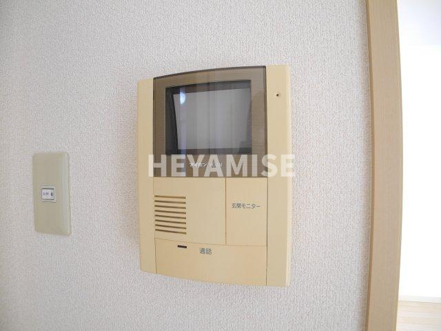 ラヴニーナのセキュリティ