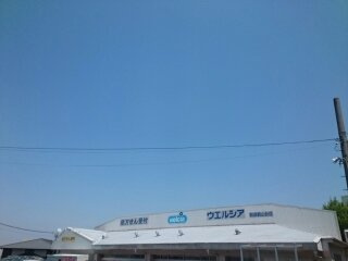 【周辺】 | ガーデンハウスＹＨ | ウエルシア様まで1000m