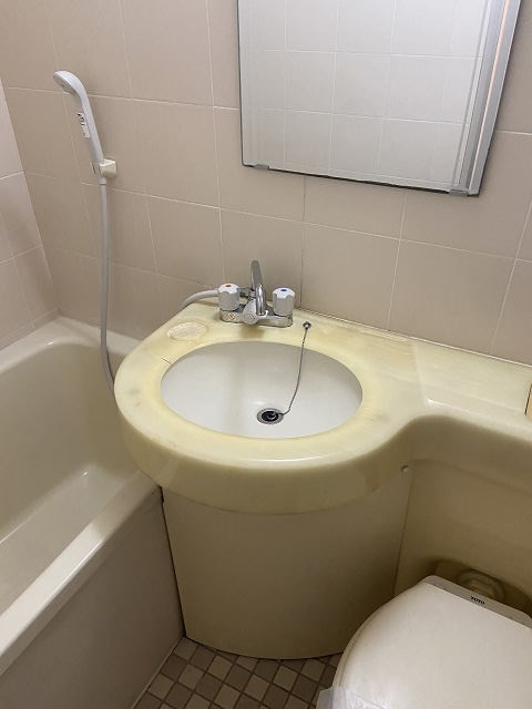 ロイヤルハイツつかしんの洗面所