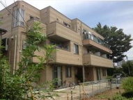 フィリアの画像