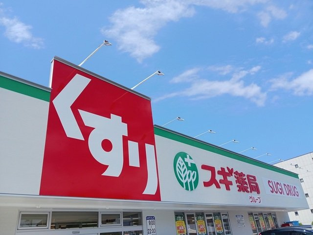 ベル　ハイネスの周辺|スギ薬局様まで190m